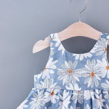 Floral Baby Girls Dresses With Hat