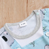 Newborn Baby Koala Jumpsuits