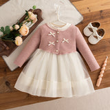 Autumn Toddler Baby Girl Pink Dress
