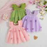 Baby Girl Butterfly Dress 0-3 Years