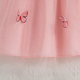 Baby Girl Pink Butterfly Dress 0-3 Years