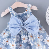 Floral Baby Girls Dresses With Hat