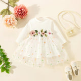 Floral Lace Baby Girl Toddler Dress