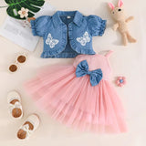 Infant Girl Tulle Dress Cardigan Clothes Set