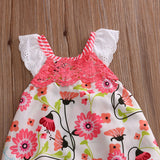 Baby Clothes - Cute Lace Summer Rompers