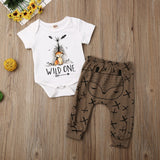 Baby Clothes - Newborn Infant Fox Clothes Set