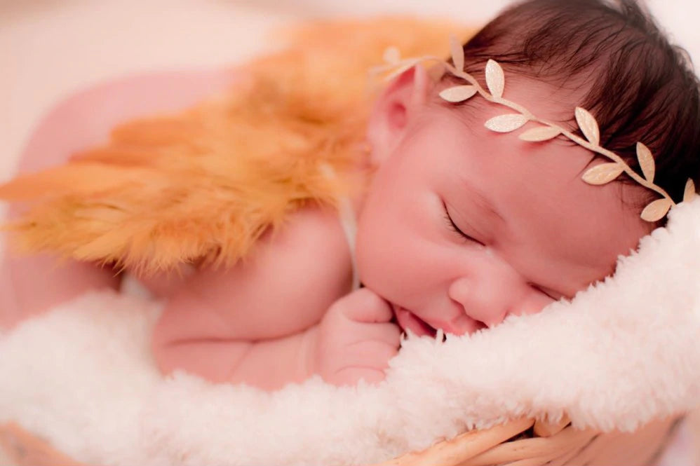 Costume - Golden Angel Wings And Flower Headband Newborns Photography