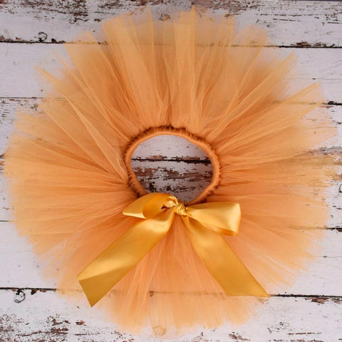 Costume - Tutu Skirt & Headband Newborn Photography
