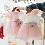 Baby Girl Flower Dresses