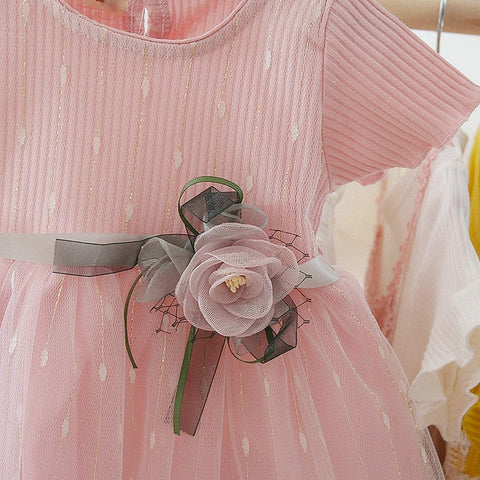 Dress - Baby Girl Flower Dresses 0-24M